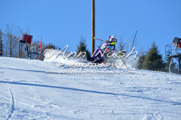 alpine_2015-01-22_14-40-14_DSC_2964_©AnnNashPhotographyLLC_2015