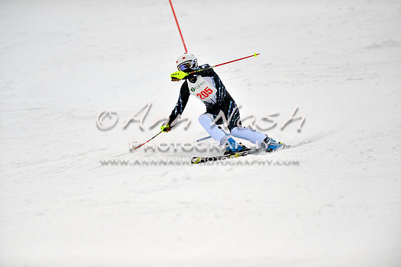 alpine_2015-01-22_12-25-57_DSC_1759_©AnnNashPhotographyLLC_2015