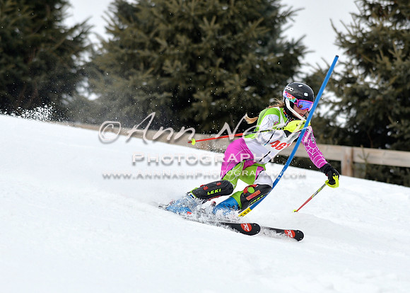 alpine_2015-01-22_11-33-48_DSC_9970_©AnnNashPhotographyLLC_2015