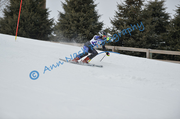 alpine_2015-01-22_11-47-41_DSC_0539_©AnnNashPhotographyLLC_2015