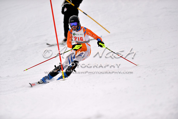 alpine_2015-01-22_12-39-52_DSC_2107_©AnnNashPhotographyLLC_2015