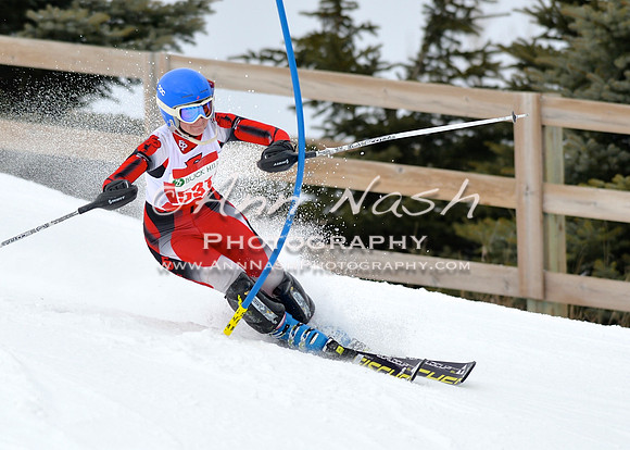 alpine_2015-01-22_11-37-29_DSC_0157_©AnnNashPhotographyLLC_2015