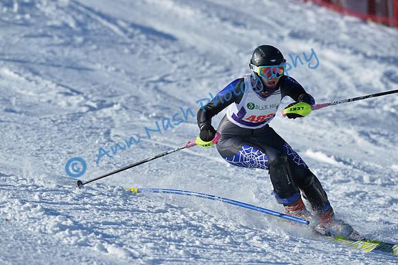 alpine_2015-01-22_14-56-22_DSC_3715_©AnnNashPhotographyLLC_2015