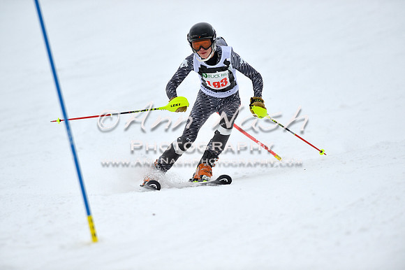 alpine_2015-01-22_11-59-57_DSC_0978_©AnnNashPhotographyLLC_2015