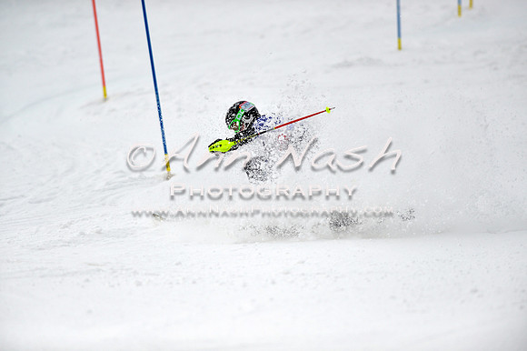 alpine_2015-01-22_12-33-19_DSC_1976_©AnnNashPhotographyLLC_2015