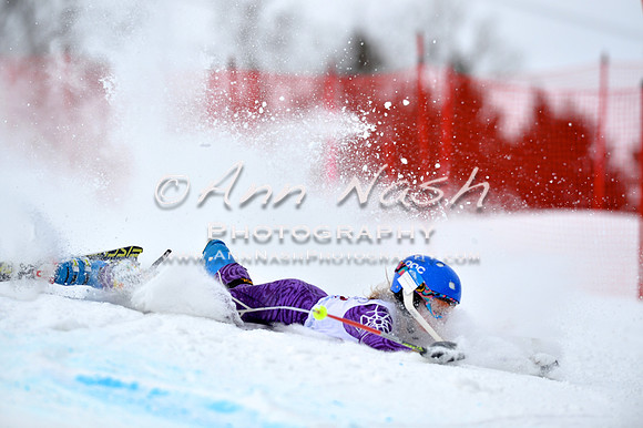 alpine_2015-02-14_10-51-19_DSC_6435_©AnnNashPhotographyLLC_2015