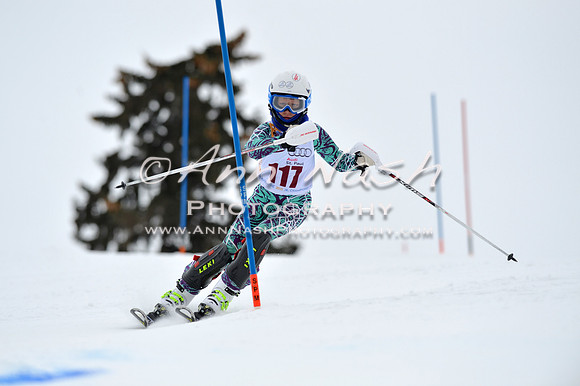 alpine_2015-02-14_13-12-29_DSC_8070_©AnnNashPhotographyLLC_2015