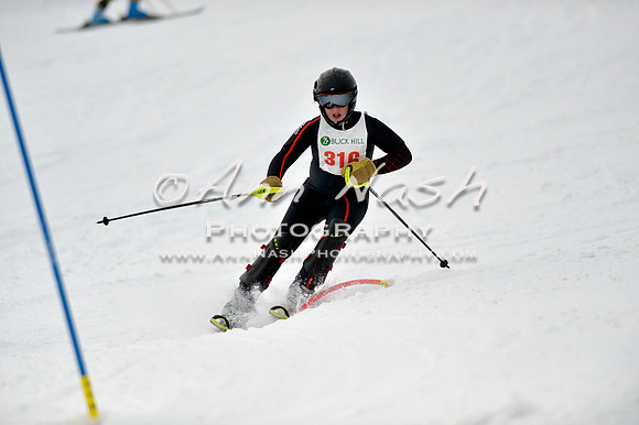 alpine_2015-01-22_12-44-26_DSC_2214_©AnnNashPhotographyLLC_2015