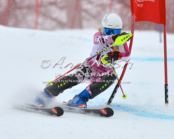 alpine_2015-02-14_11-20-13_DSC_7244_©AnnNashPhotographyLLC_2015