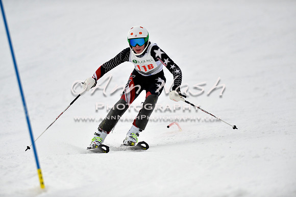 alpine_2015-01-22_12-32-08_DSC_1954_©AnnNashPhotographyLLC_2015