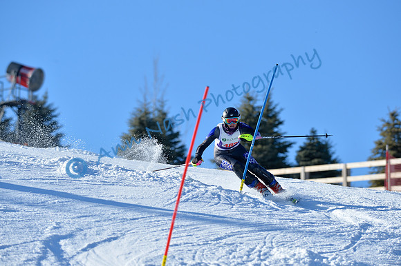 alpine_2015-01-22_14-56-19_DSC_3704_©AnnNashPhotographyLLC_2015