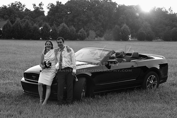 Henson-Lyons_2014-08-30_18-16-47_DSC_9184_©AnnNashPhotographyLLC_2014