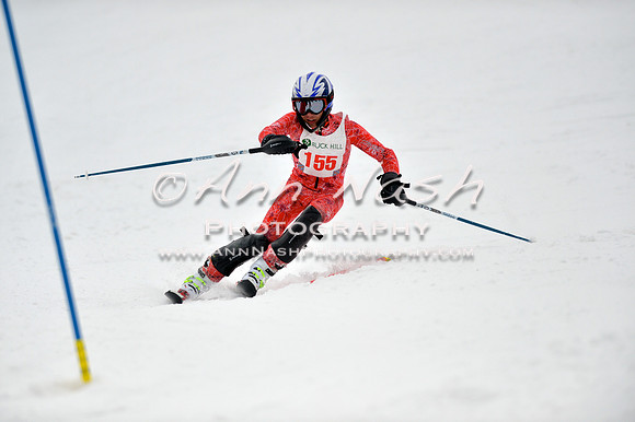 alpine_2015-01-22_12-23-46_DSC_1676_©AnnNashPhotographyLLC_2015