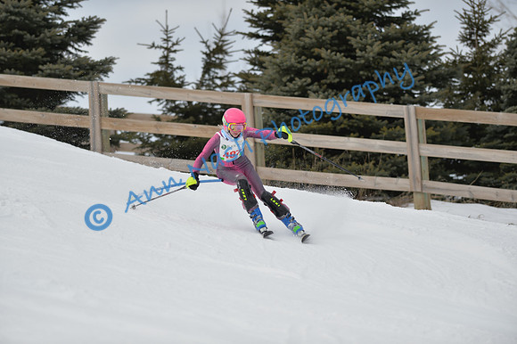 alpine_2015-01-22_12-48-09_DSC_2335_©AnnNashPhotographyLLC_2015