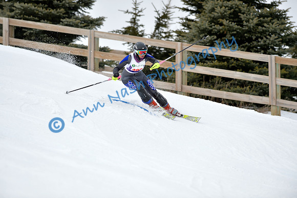 alpine_2015-01-22_11-47-43_DSC_0545_©AnnNashPhotographyLLC_2015