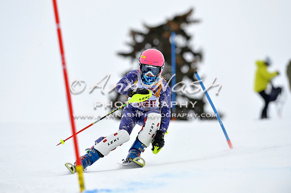 alpine_2015-02-14_13-06-00_DSC_7931_©AnnNashPhotographyLLC_2015