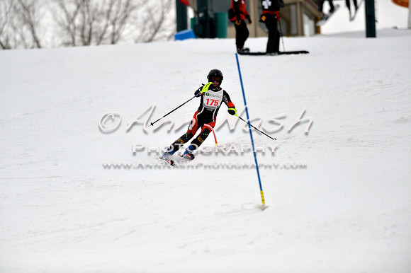 alpine_2015-01-22_12-24-33_DSC_1702_©AnnNashPhotographyLLC_2015