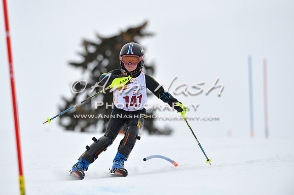 alpine_2015-02-14_13-08-45_DSC_8002_©AnnNashPhotographyLLC_2015