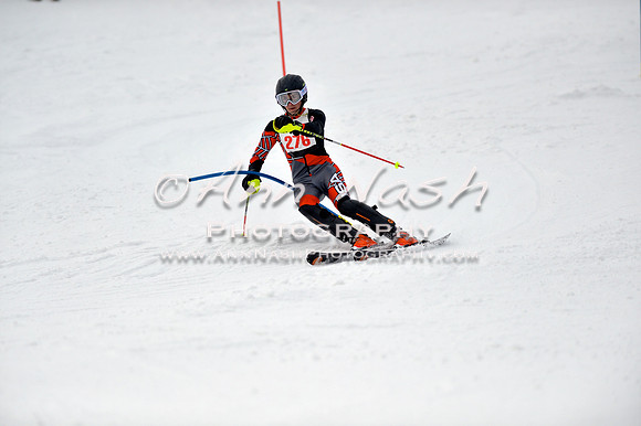 alpine_2015-01-22_12-42-20_DSC_2157_©AnnNashPhotographyLLC_2015