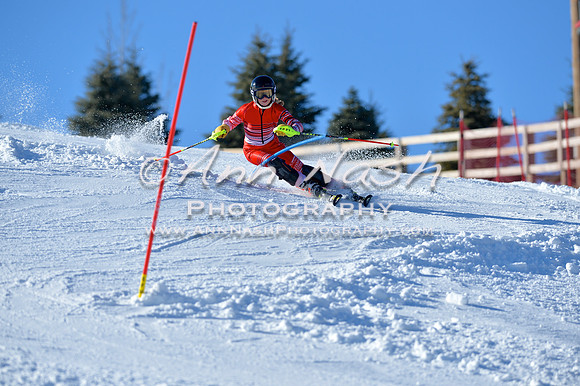 alpine_2015-01-22_14-36-34_DSC_2947_©AnnNashPhotographyLLC_2015