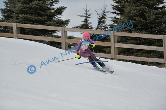 alpine_2015-01-22_12-48-08_DSC_2333_©AnnNashPhotographyLLC_2015