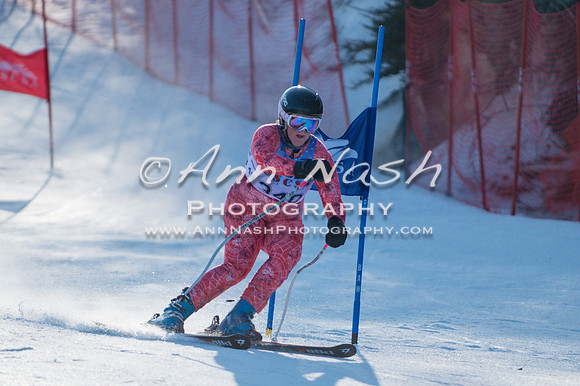 alpine-Jan-27-2018-DSC_8288-©ANP