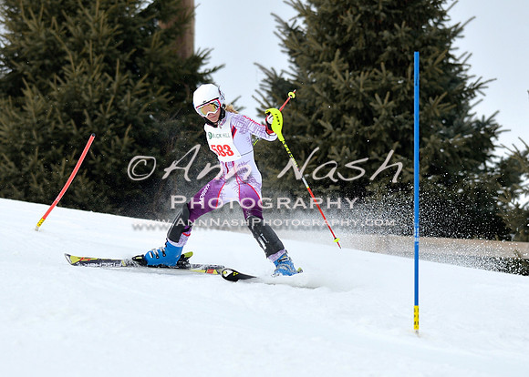alpine_2015-01-22_12-05-56_DSC_1147_©AnnNashPhotographyLLC_2015