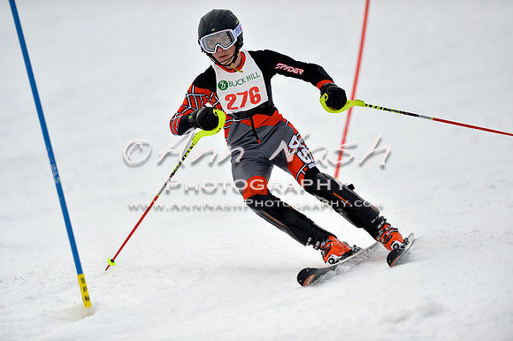 alpine_2015-01-22_12-42-22_DSC_2164_©AnnNashPhotographyLLC_2015