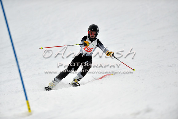 alpine_2015-01-22_12-40-21_DSC_2115_©AnnNashPhotographyLLC_2015