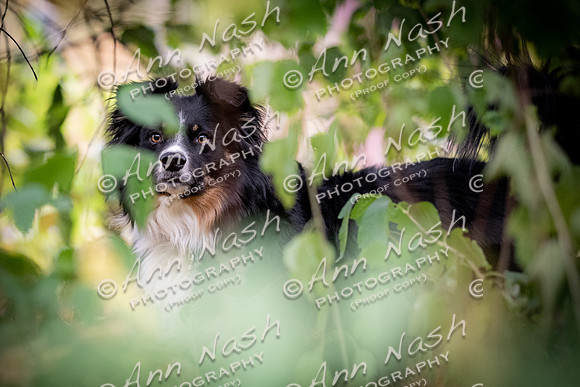 untitled-Oct-14-2024-DSC_0863-©ANP