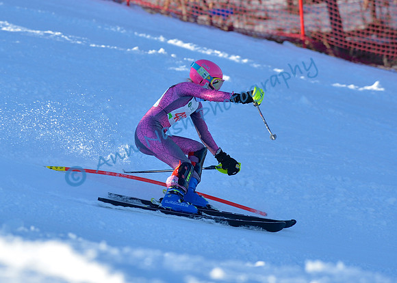 alpine_2015-01-22_16-09-49_DSC_5427_©AnnNashPhotographyLLC_2015