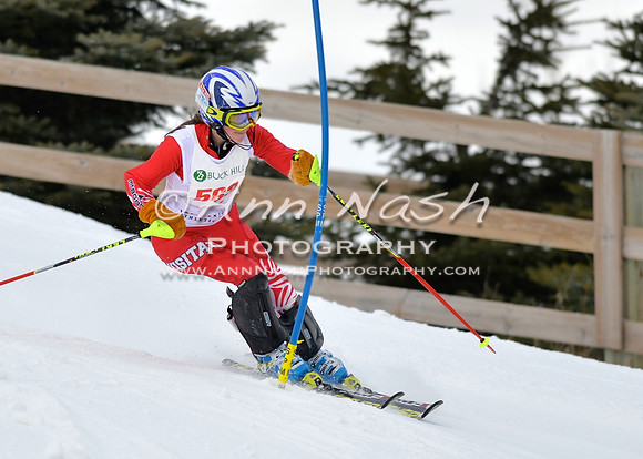 alpine_2015-01-22_12-04-48_DSC_1115_©AnnNashPhotographyLLC_2015