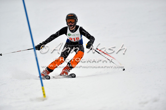 alpine_2015-01-22_12-26-25_DSC_1773_©AnnNashPhotographyLLC_2015