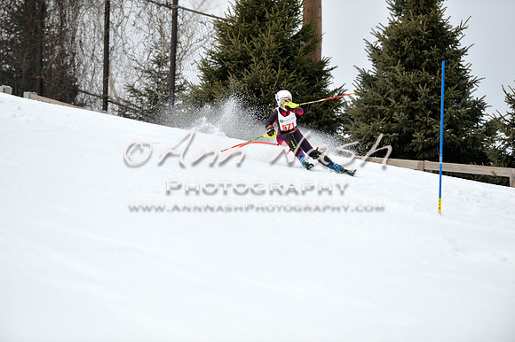 alpine_2015-01-22_11-40-26_DSC_0239_©AnnNashPhotographyLLC_2015