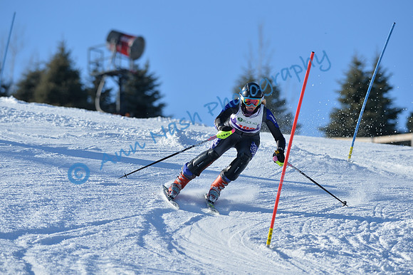 alpine_2015-01-22_14-56-20_DSC_3708_©AnnNashPhotographyLLC_2015