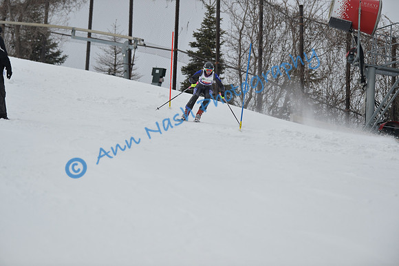 alpine_2015-01-22_11-47-38_DSC_0531_©AnnNashPhotographyLLC_2015