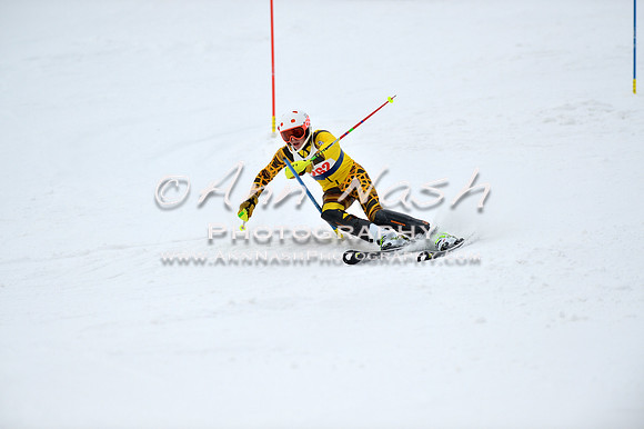 alpine_2015-01-22_11-54-52_DSC_0801_©AnnNashPhotographyLLC_2015