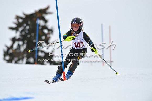 alpine_2015-02-14_13-08-45_DSC_7999_©AnnNashPhotographyLLC_2015