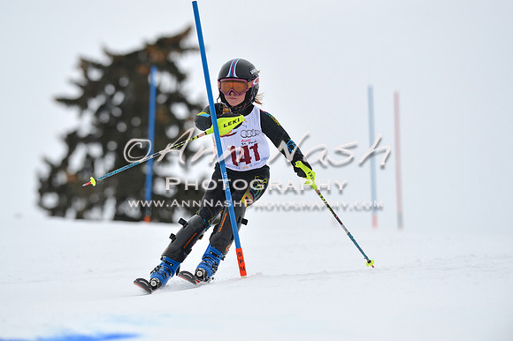 alpine_2015-02-14_13-08-45_DSC_8000_©AnnNashPhotographyLLC_2015