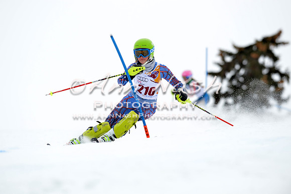 alpine_2015-02-14_13-31-17_DSC_8367_©AnnNashPhotographyLLC_2015