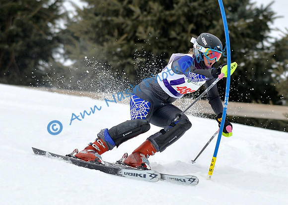 alpine_2015-01-22_11-47-41_DSC_0538_©AnnNashPhotographyLLC_2015