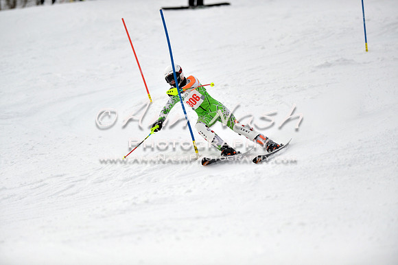 alpine_2015-01-22_12-43-57_DSC_2206_©AnnNashPhotographyLLC_2015