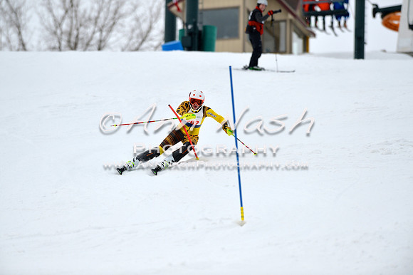 alpine_2015-01-22_11-54-52_DSC_0796_©AnnNashPhotographyLLC_2015