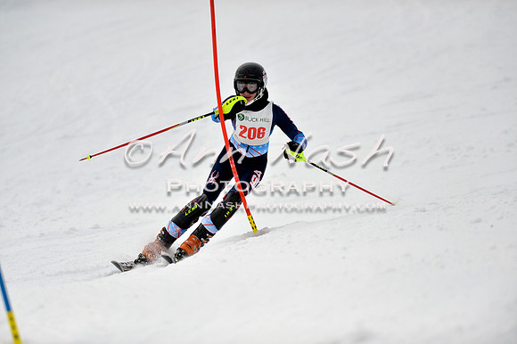 alpine_2015-01-22_12-39-33_DSC_2091_©AnnNashPhotographyLLC_2015