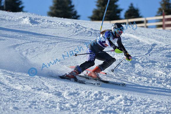 alpine_2015-01-22_14-56-21_DSC_3713_©AnnNashPhotographyLLC_2015