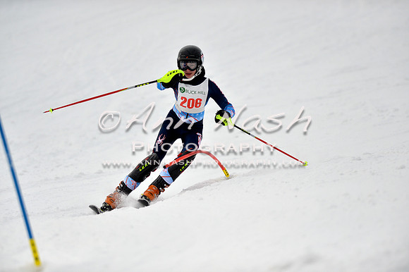 alpine_2015-01-22_12-39-33_DSC_2092_©AnnNashPhotographyLLC_2015