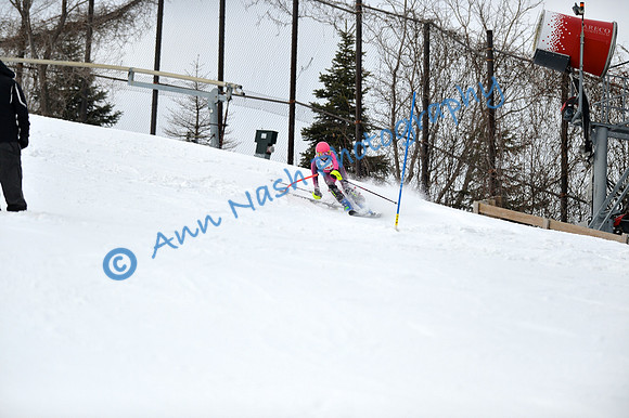 alpine_2015-01-22_12-47-28_DSC_2313_©AnnNashPhotographyLLC_2015