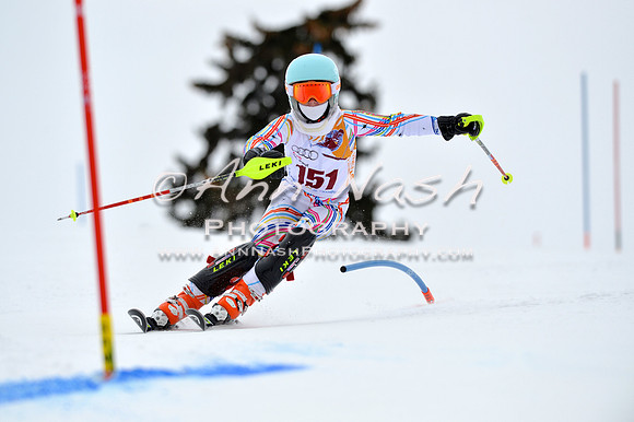 alpine_2015-02-14_13-09-13_DSC_8012_©AnnNashPhotographyLLC_2015