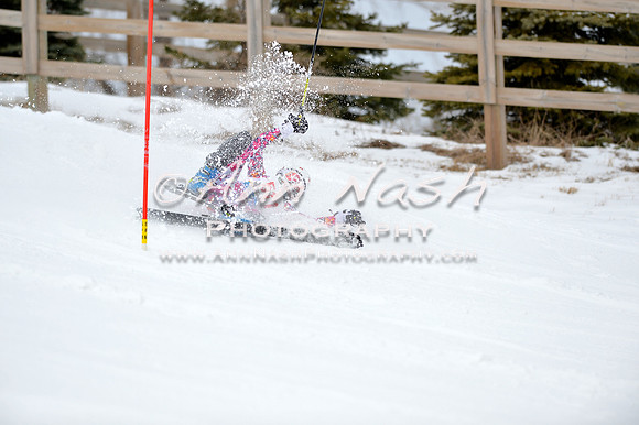 alpine_2015-01-22_11-36-14_DSC_0109_©AnnNashPhotographyLLC_2015