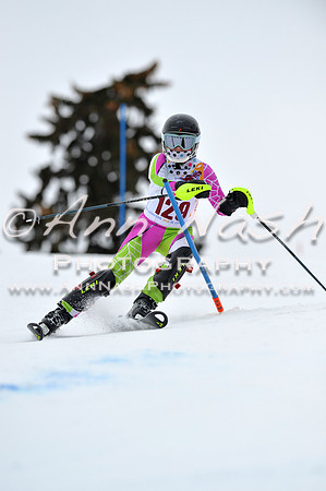 alpine_2015-02-14_12-59-51_DSC_7784_©AnnNashPhotographyLLC_2015